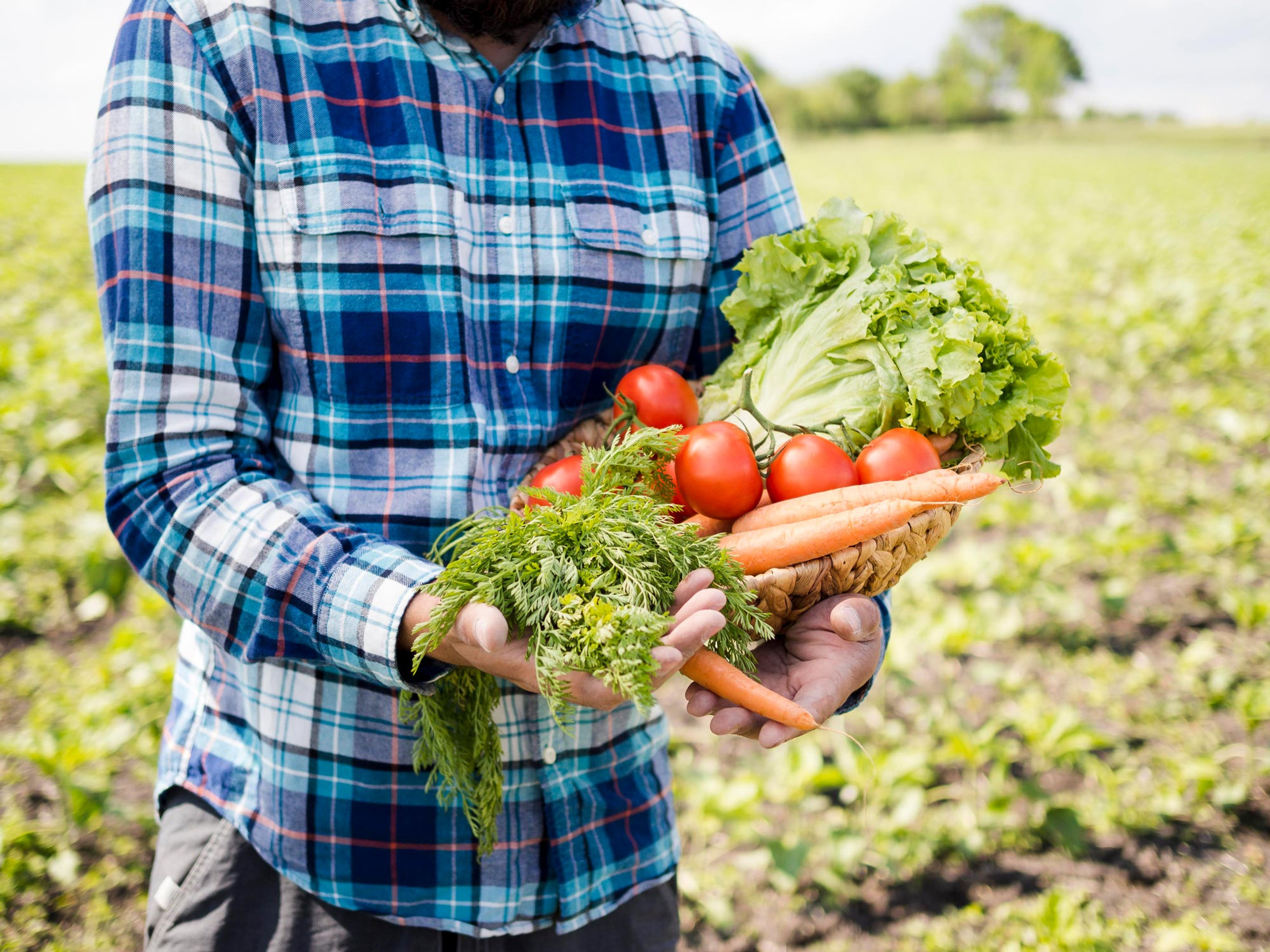 Atenção, municípios: atualização importante do Sisan